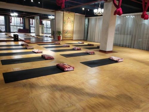 暖丰石墨烯电热膜地暖 瑜伽馆、养生馆与健身房的应用优势及研发进展